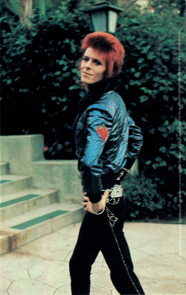 Sticker – David Bowie Posing Rock Music Retro Ziggy Stardust 1970s Decal #15997