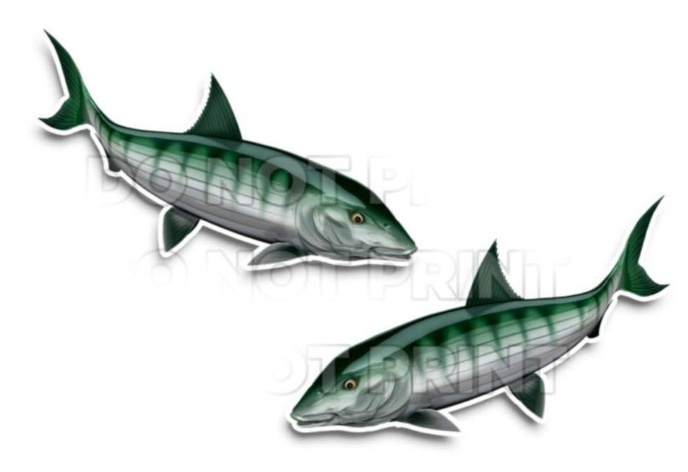 Bonefish Decals Fish Stickers Vinyl Tackle Box Stickers – Set of 2 #151