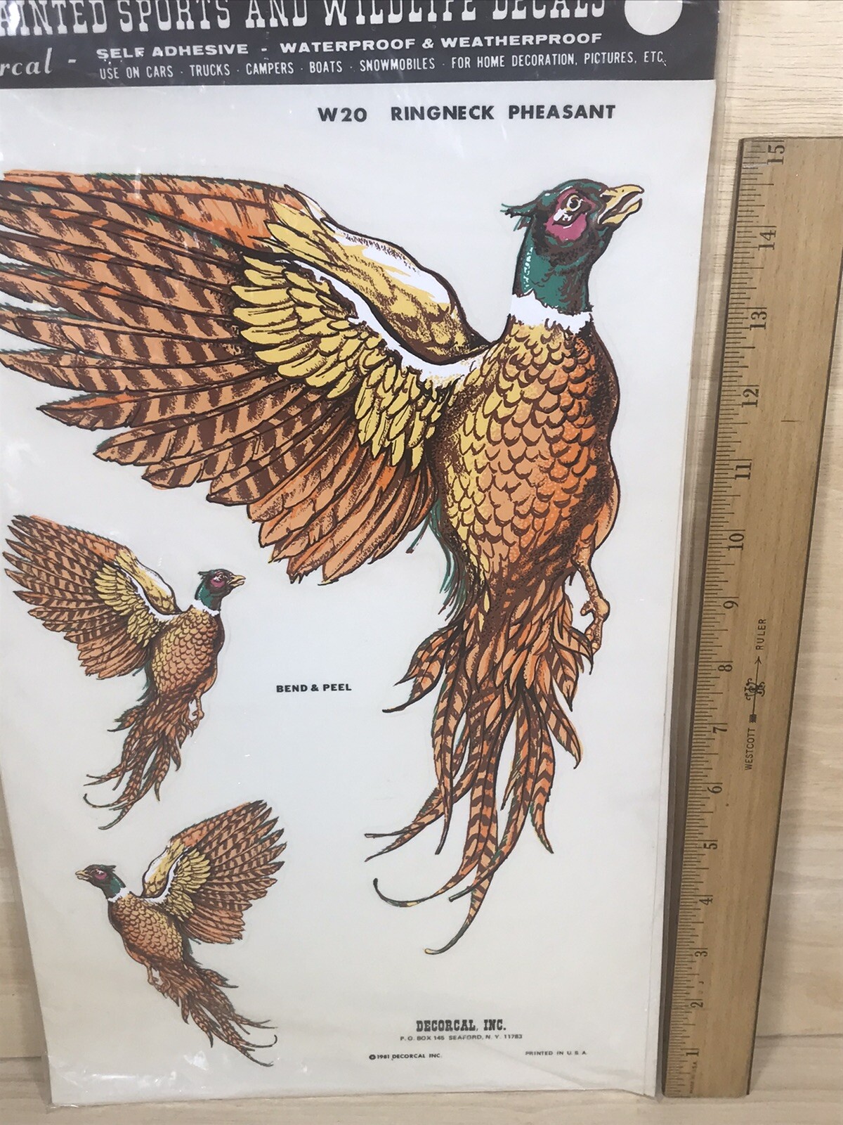 Ringneck Pheasant Decals Hand Painted Sports And Wildlife Decorcal Vintage 1981