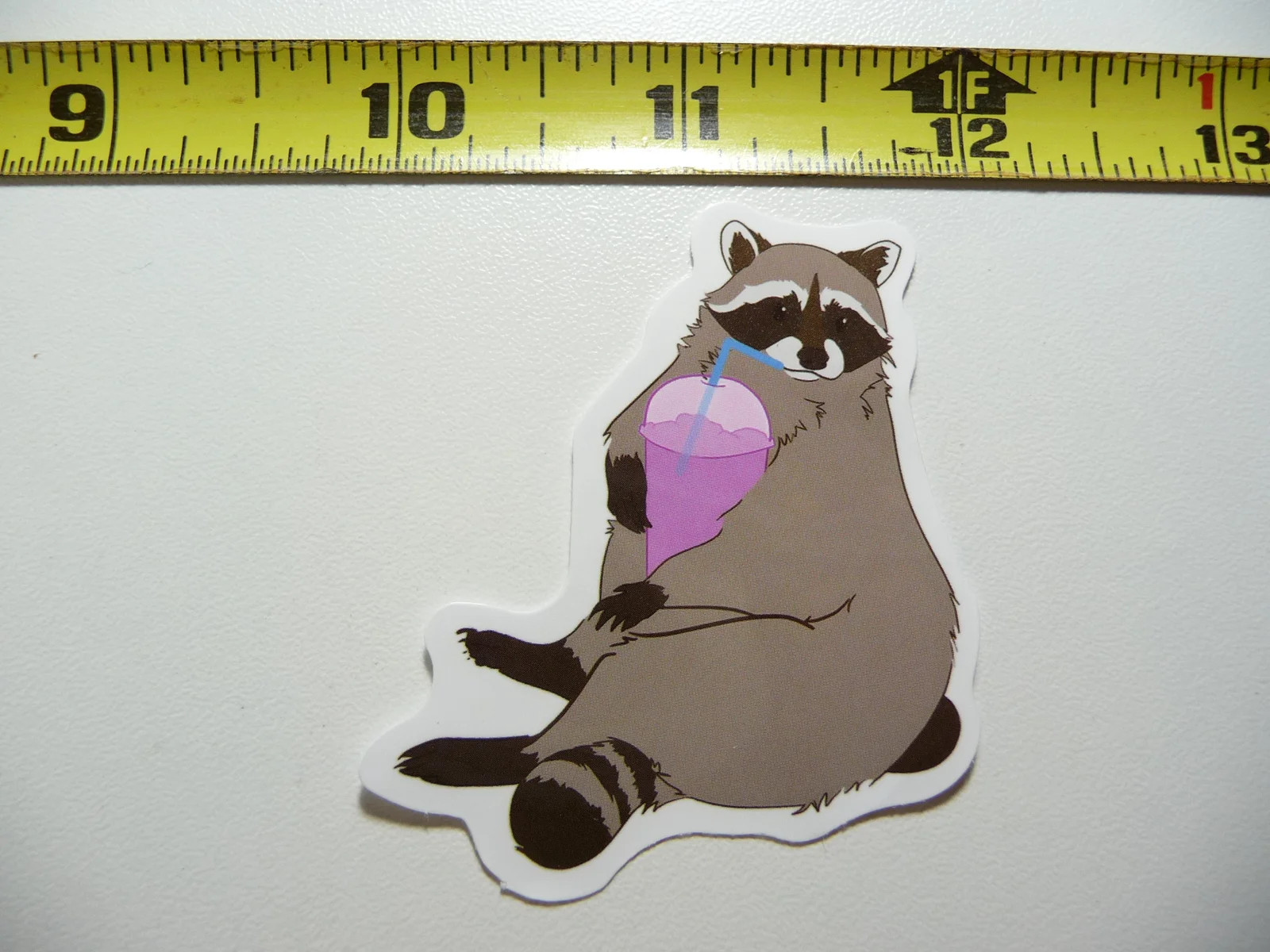 RACCOON SMOOTHIE SMALL STICKER DECAL WILD ANIMAL PET BANDIT MASKED