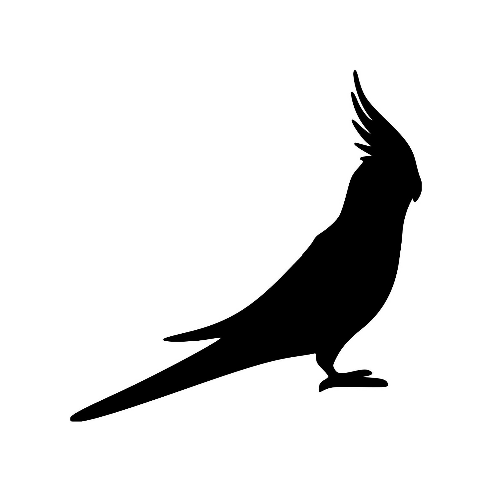 COCKATIEL Vinyl Sticker – Tropical Pet Bird – Cockatoo Parrot – Die Cut Decal