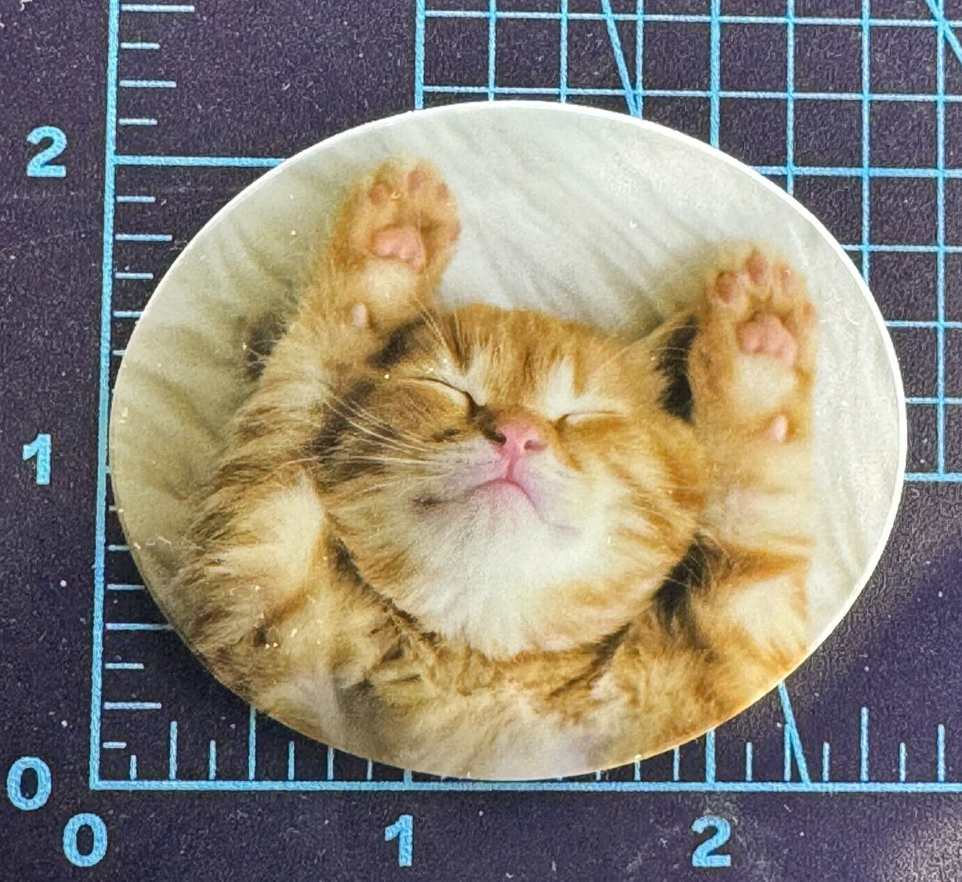 Ginger Cat In Zen Mode – Vinyl Decal Sticker Bomb Oval Yoga Humor Meditation