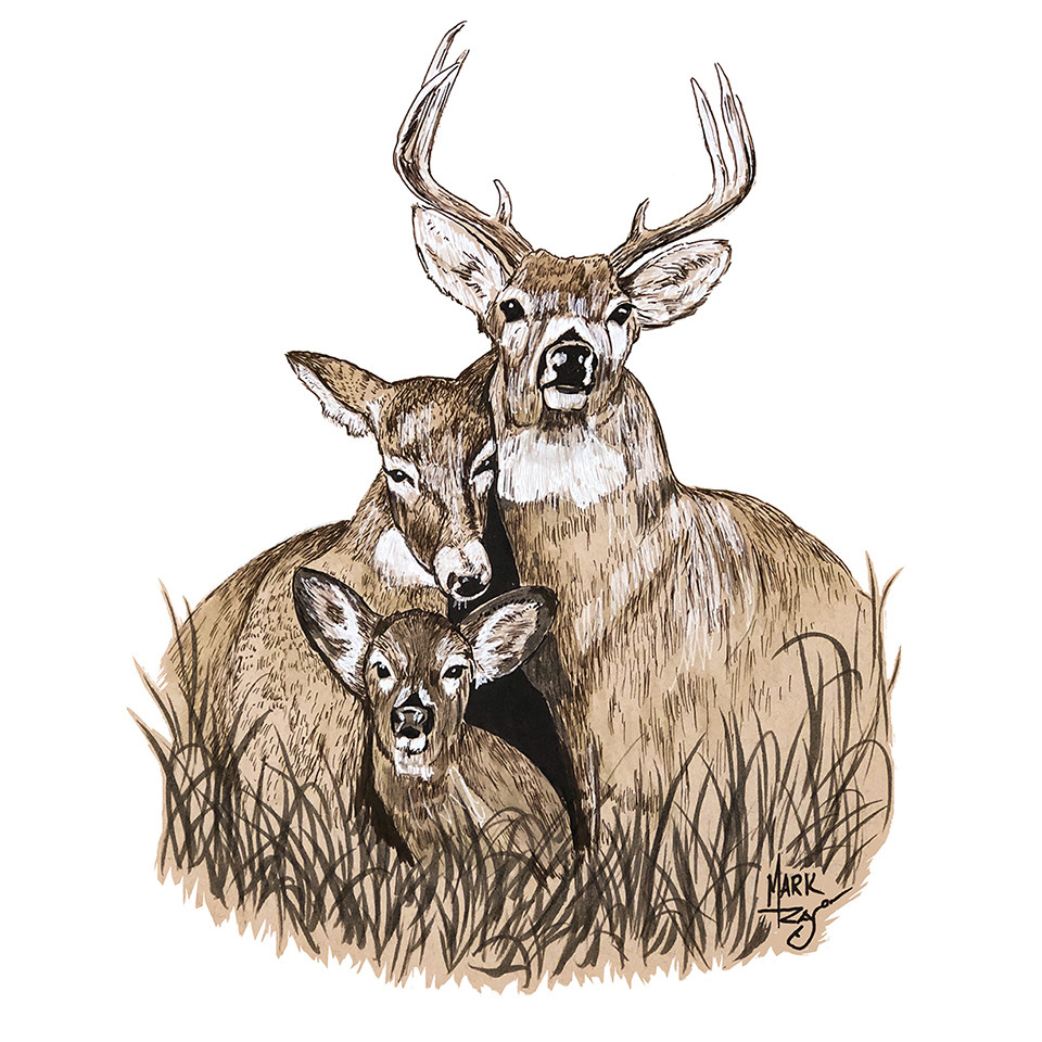 Deer Family – Printed Vinyl Decal for Car Truck SUV RV Auto