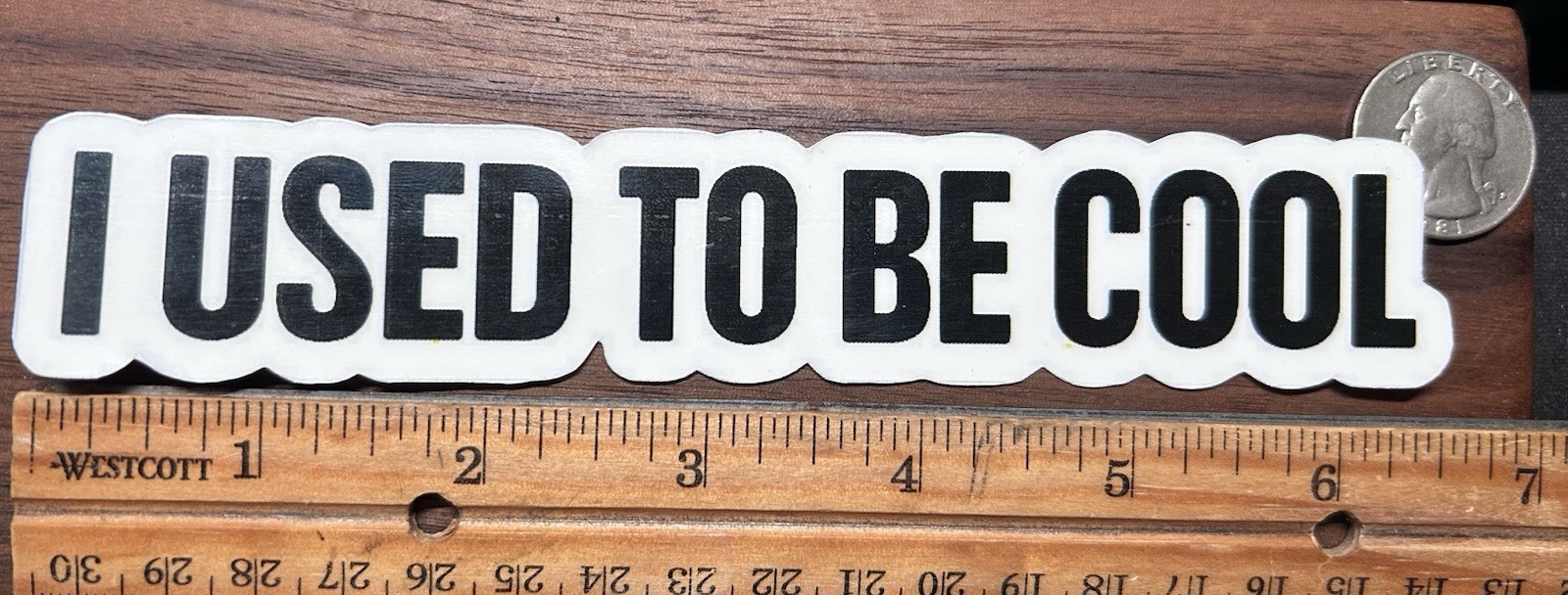 I Used To Be Cool – Glossy Vinyl Sticker