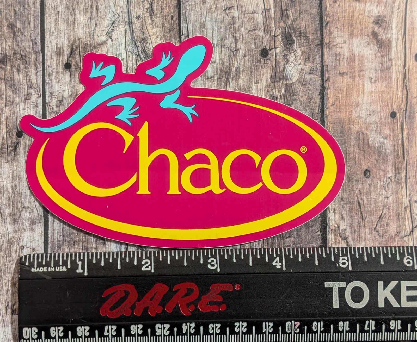 Chaco Lizard Logo Sticker – Pink Yellow Teal – Outdoor Footwear Sandals Gear