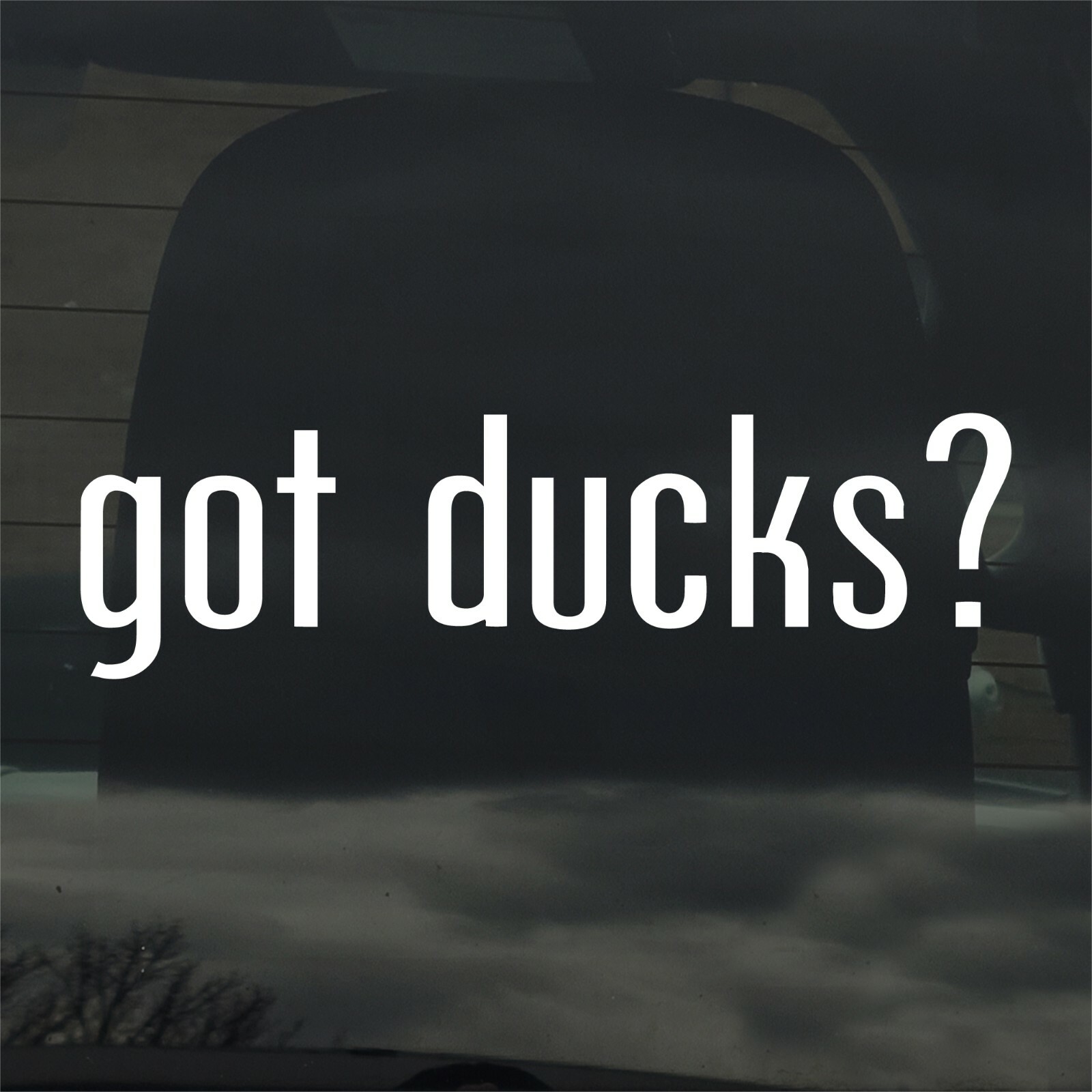 Got Ducks? Custom Vinyl Sticker / Decal Wildlife, Hunting, Waterfowl, Nature
