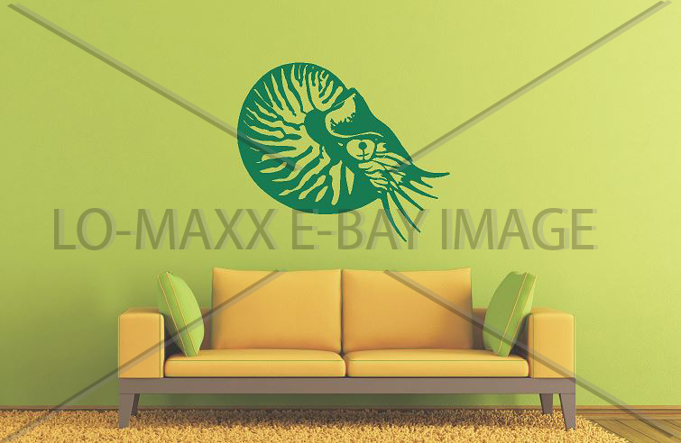 Nautilus Sea Life Contemporary Art Nature Ocean Die Cut Vinyl Decal Sticker
