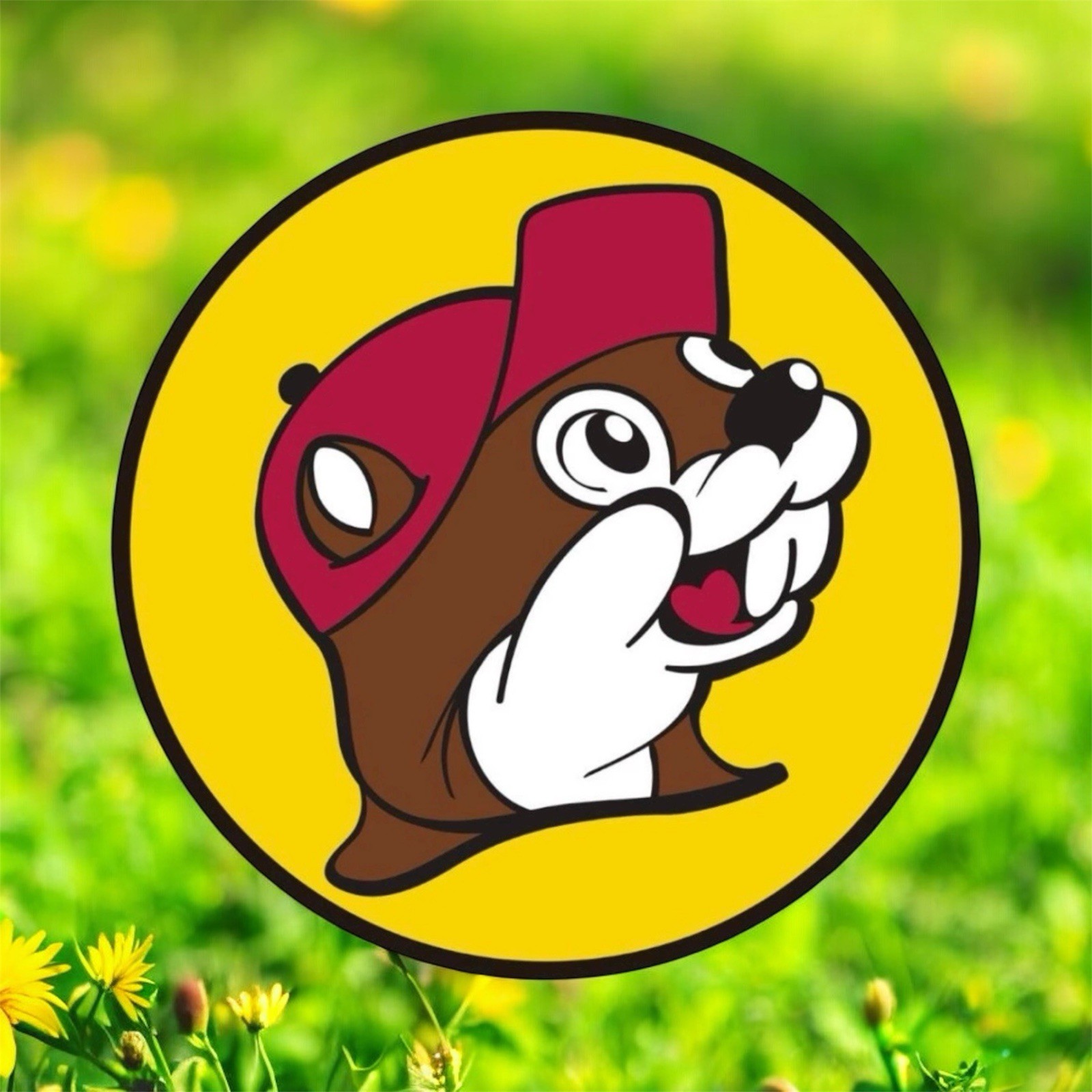 Buc-ees Beaver Logo 4” Inch DIECUT Waterproof Vinyl Decal Sticker 1PC