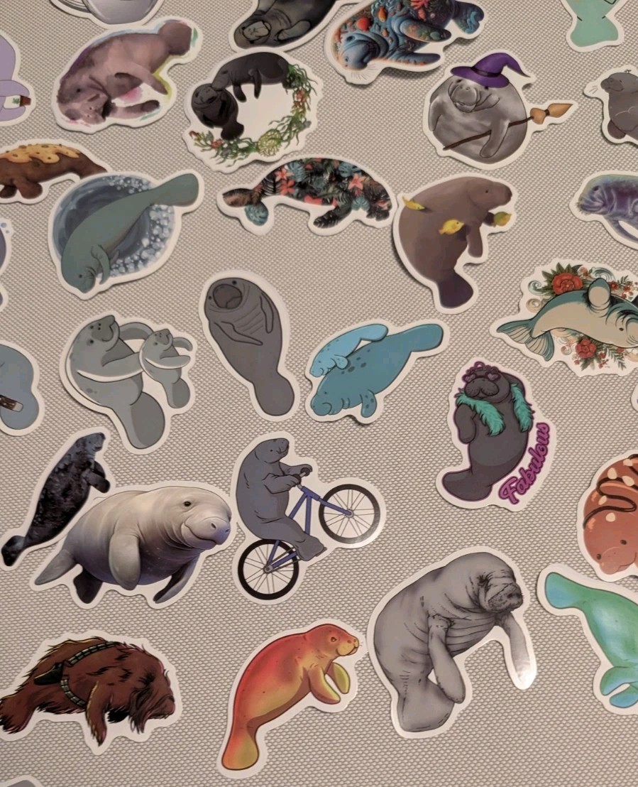 MYSTERY MIXED LOT OF 10 MANATEE GRAPHIC DECAL STICKER ART CAR WALL LAPTOP DECOR