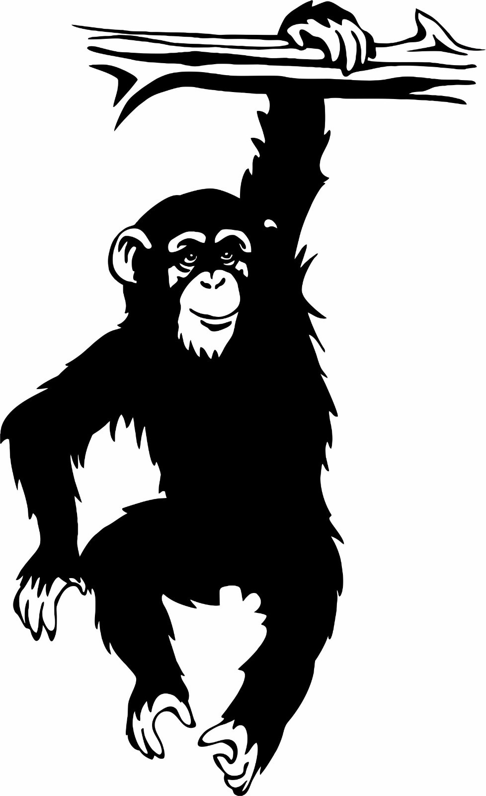 Chimp Monkey Chimpanzee Ape Animal Wall Decor Mural Vinyl Decal