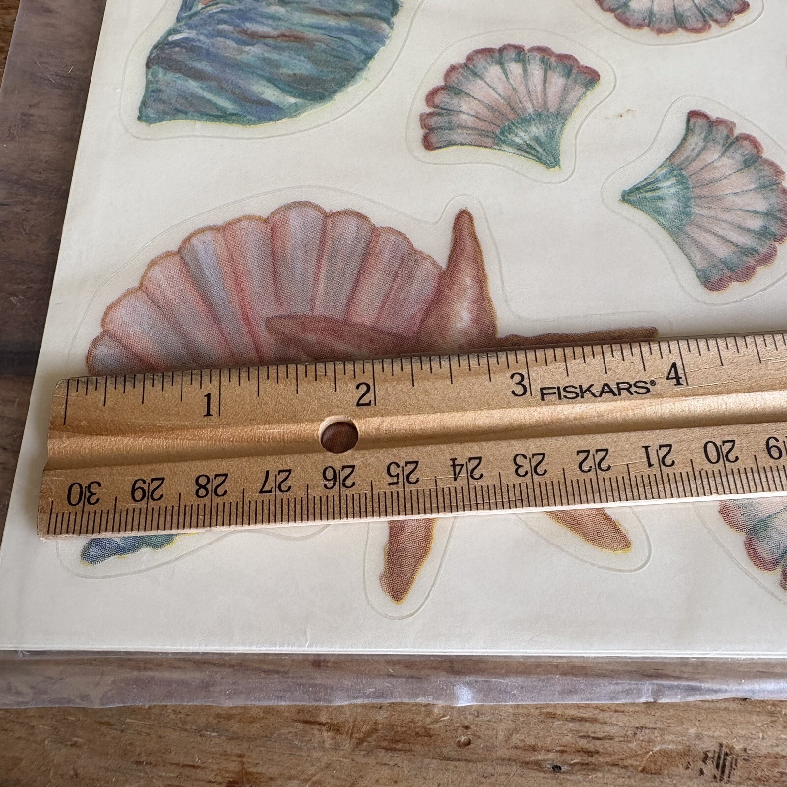 Painted Potties Vintage Bathroom Decals Sea Shells New Old Stock