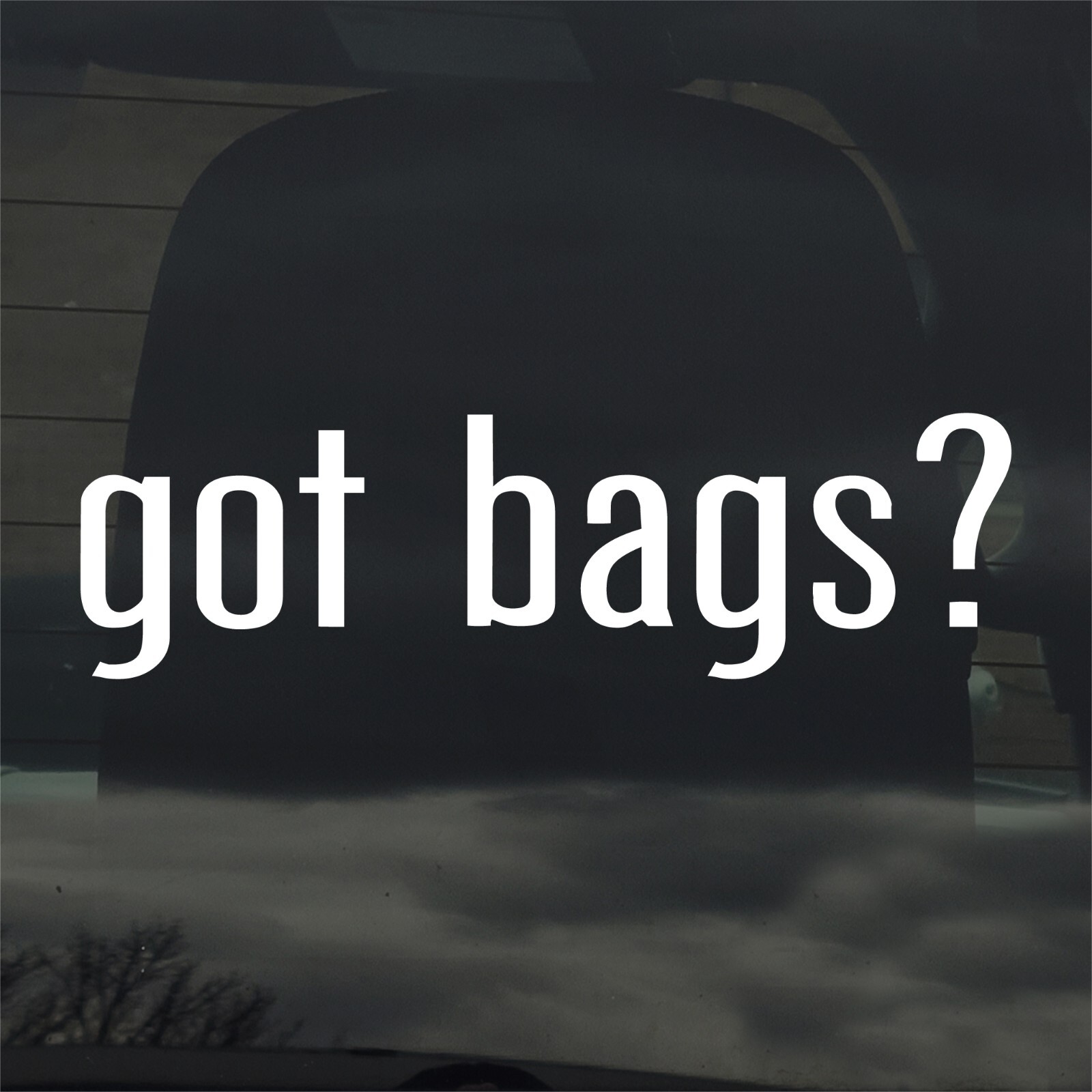Got Bags? Custom Vinyl Sticker Decal Fashion Style Tote Carry Leather