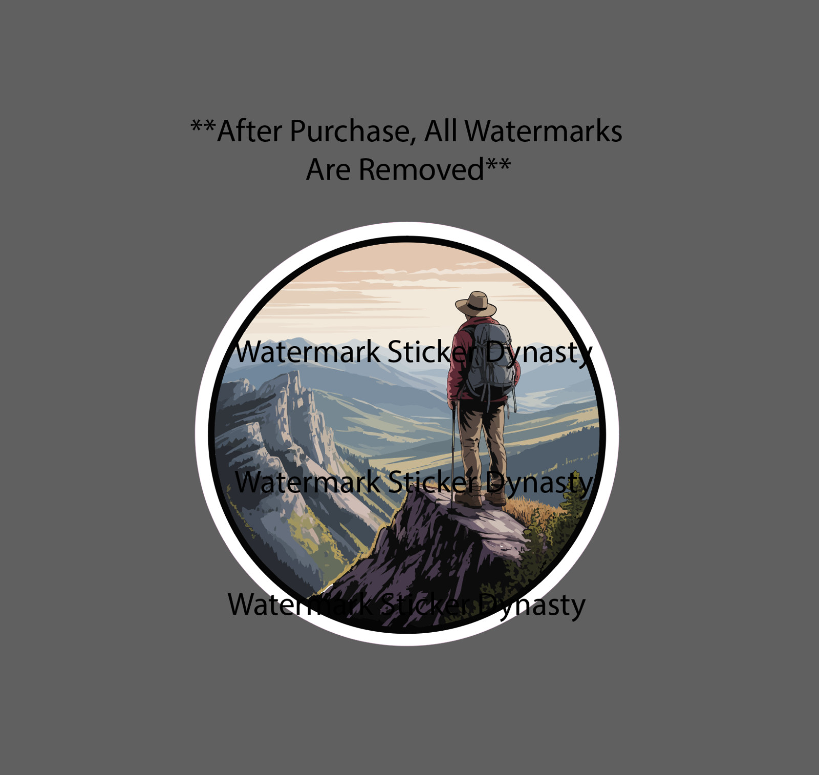 Hiker Sticker Waterproof Decal Mountain View Outdoor Travel Nature Gift NEW