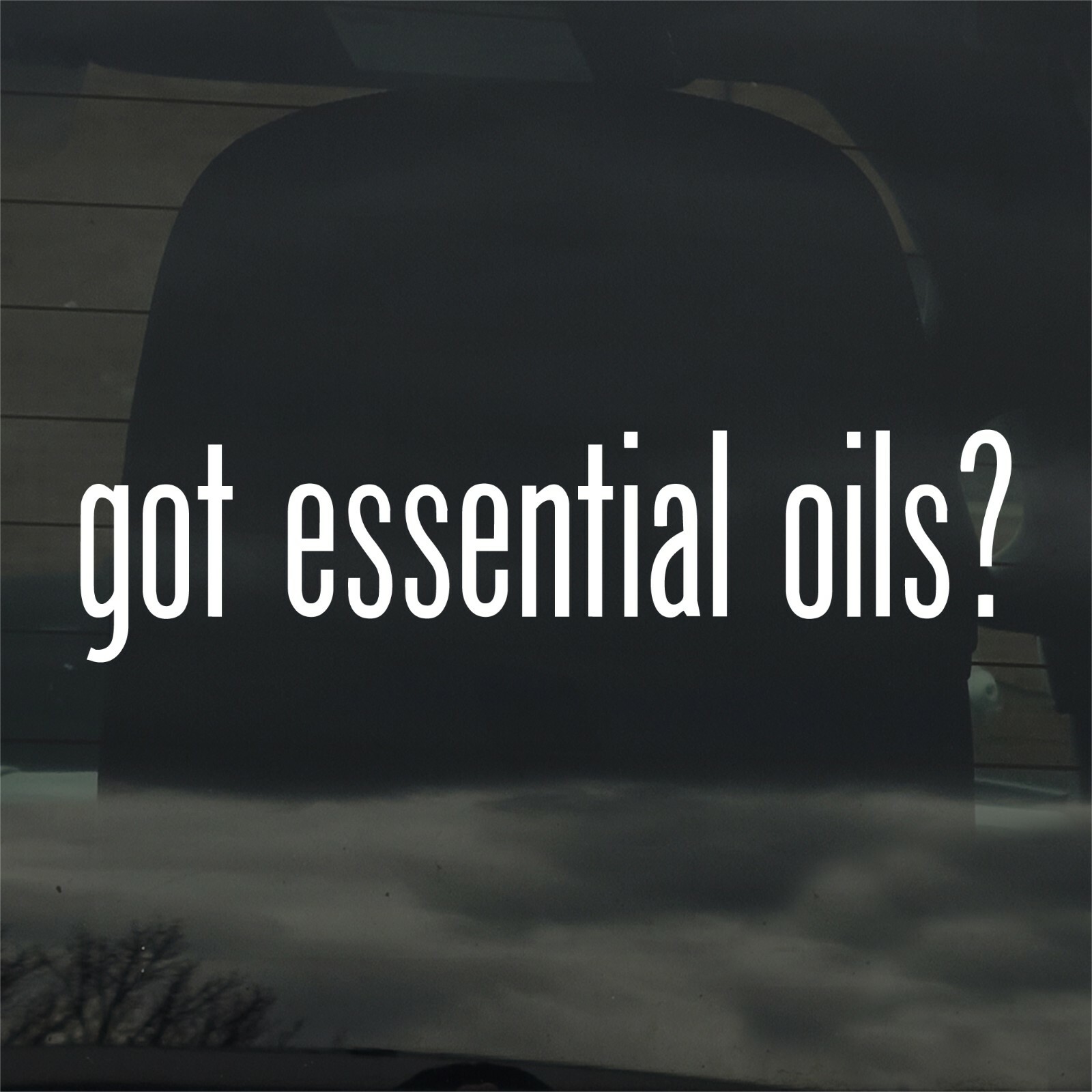 Got Essential Oils? Vinyl Sticker Decal Aromatherapy Health Wellness