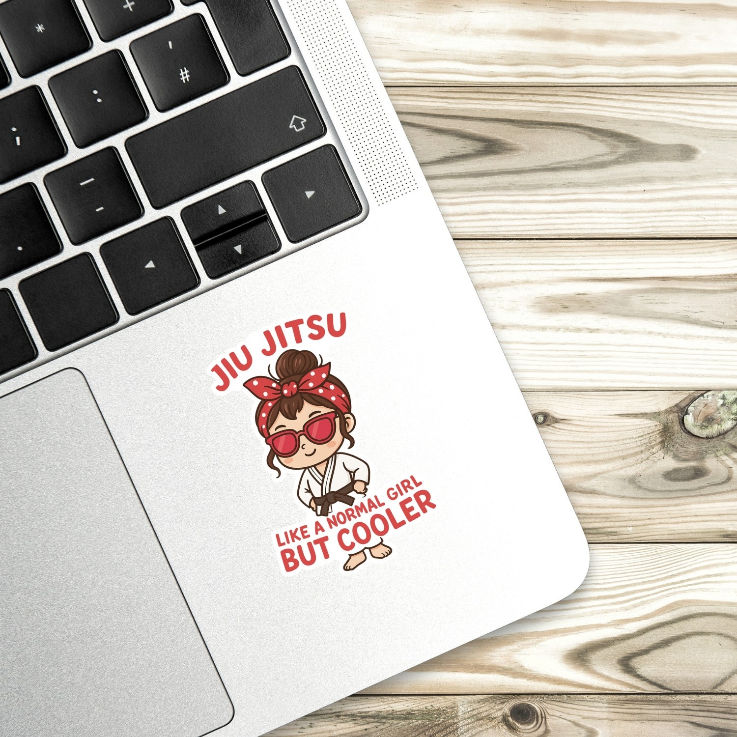 4PCS “Jiu Jitsu Girl Like a Normal Girl But Cooler” Chibi Kawaii Style Stickers