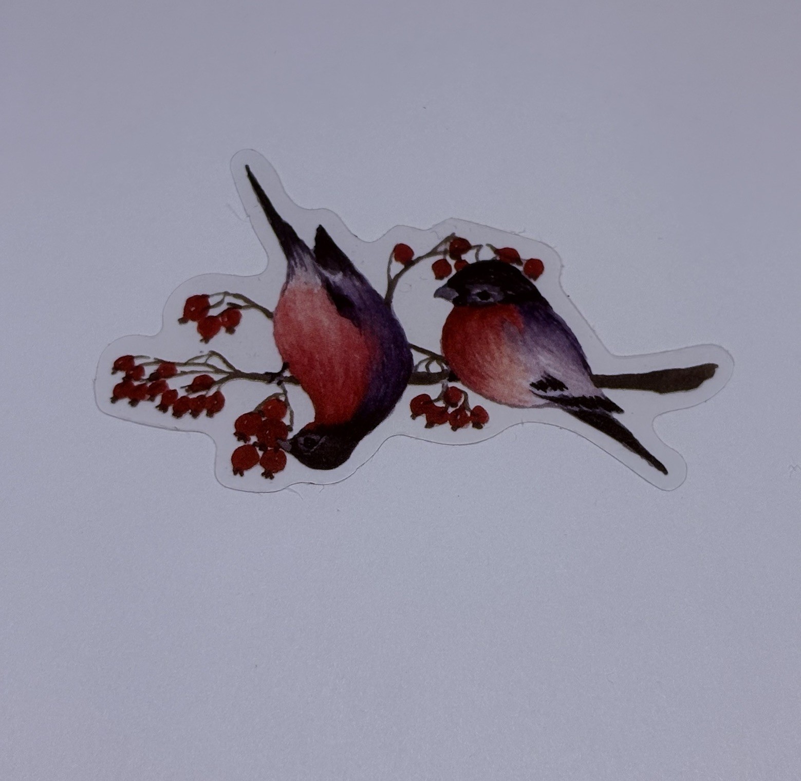 Bullfinches Berries Tree Sticker Animal Art Transparent Journal Decal Vinyl Tc6