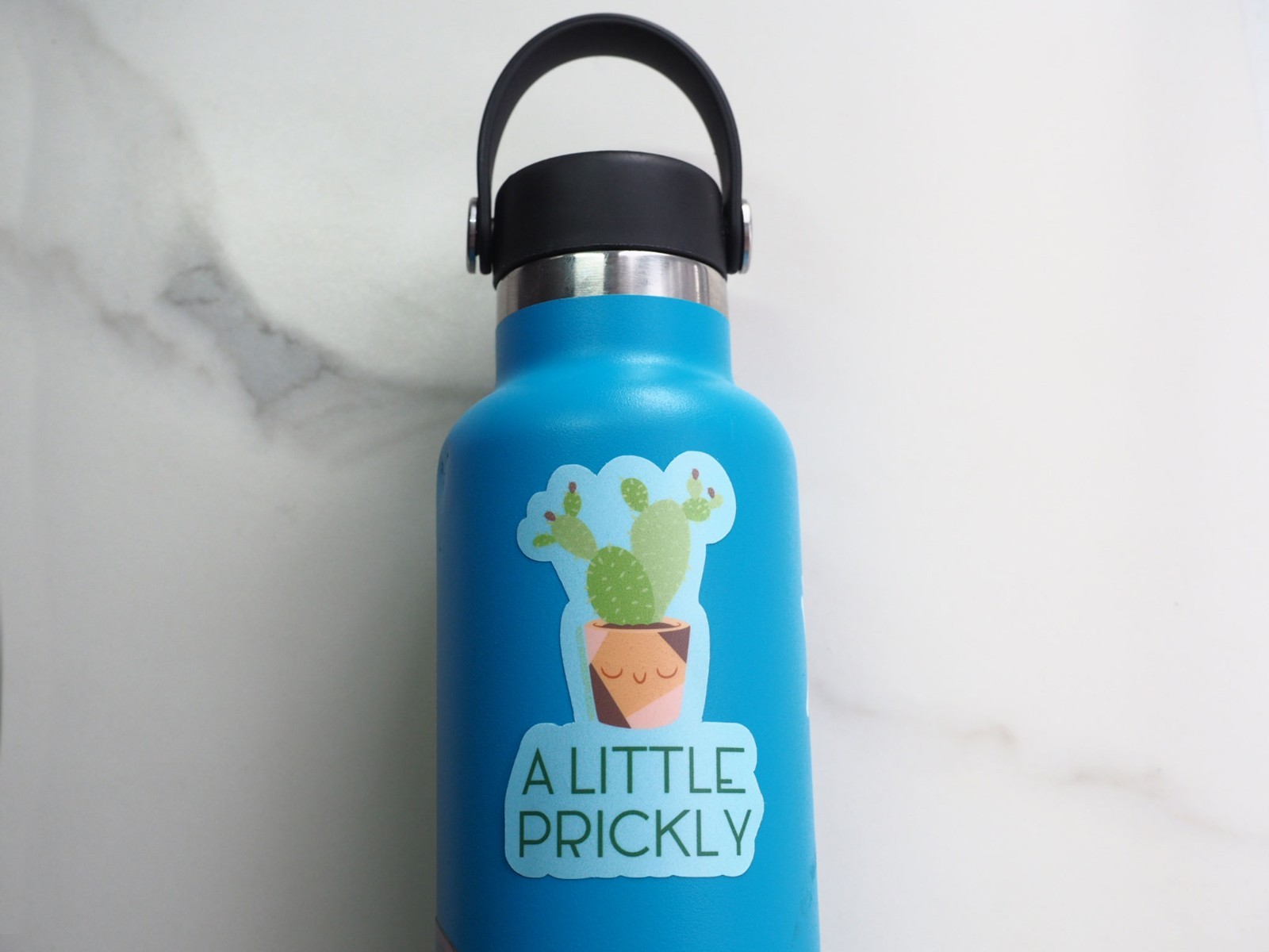 A Little Prickly Cactus Sticker – Funny Plant Decal for Laptop & Water Bottle