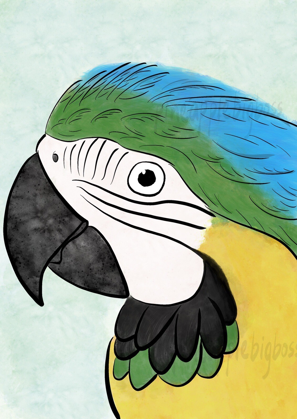 Blue and yellow macaw Parrot Sticker
