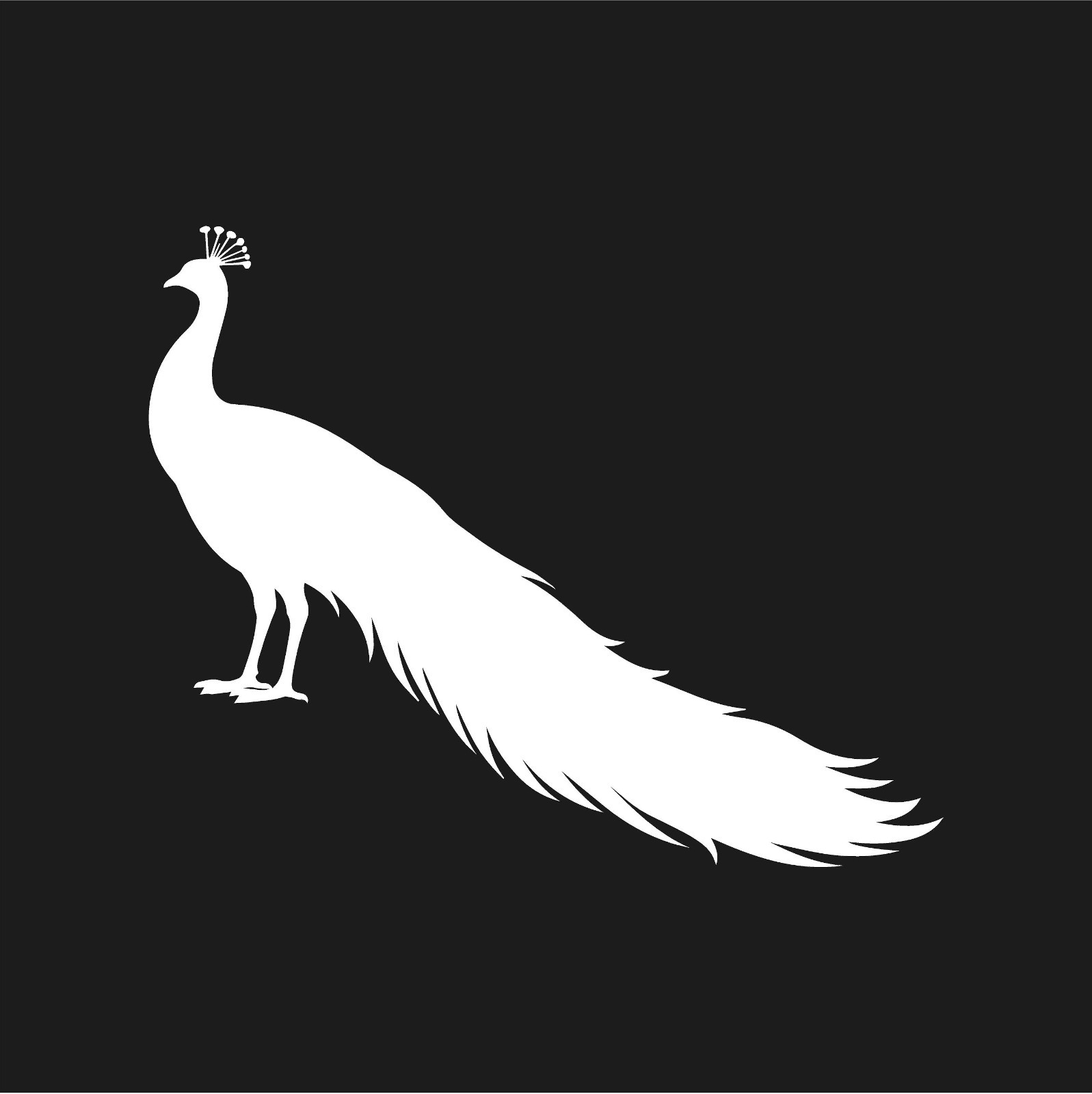 Peacock Standing Wildlife Bird Vinyl Decal Window Silhouette Wild birds sticker