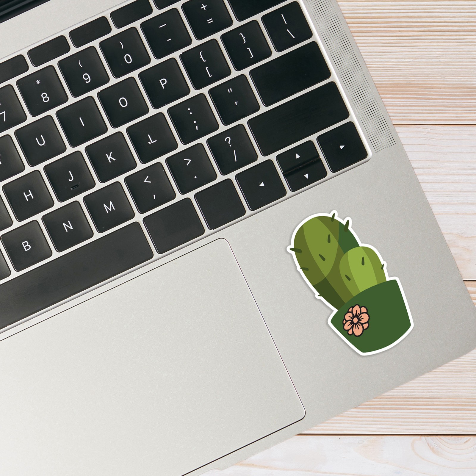 Cactus in a Pot – Vinyl Decal Sticker – Car Window Laptop – #1565