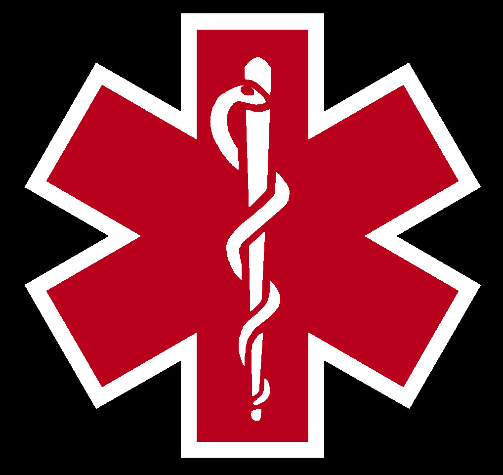 Red Reflective Vinyl Star Of Life Car or Fire Helmet Decal EMT multiple sizes