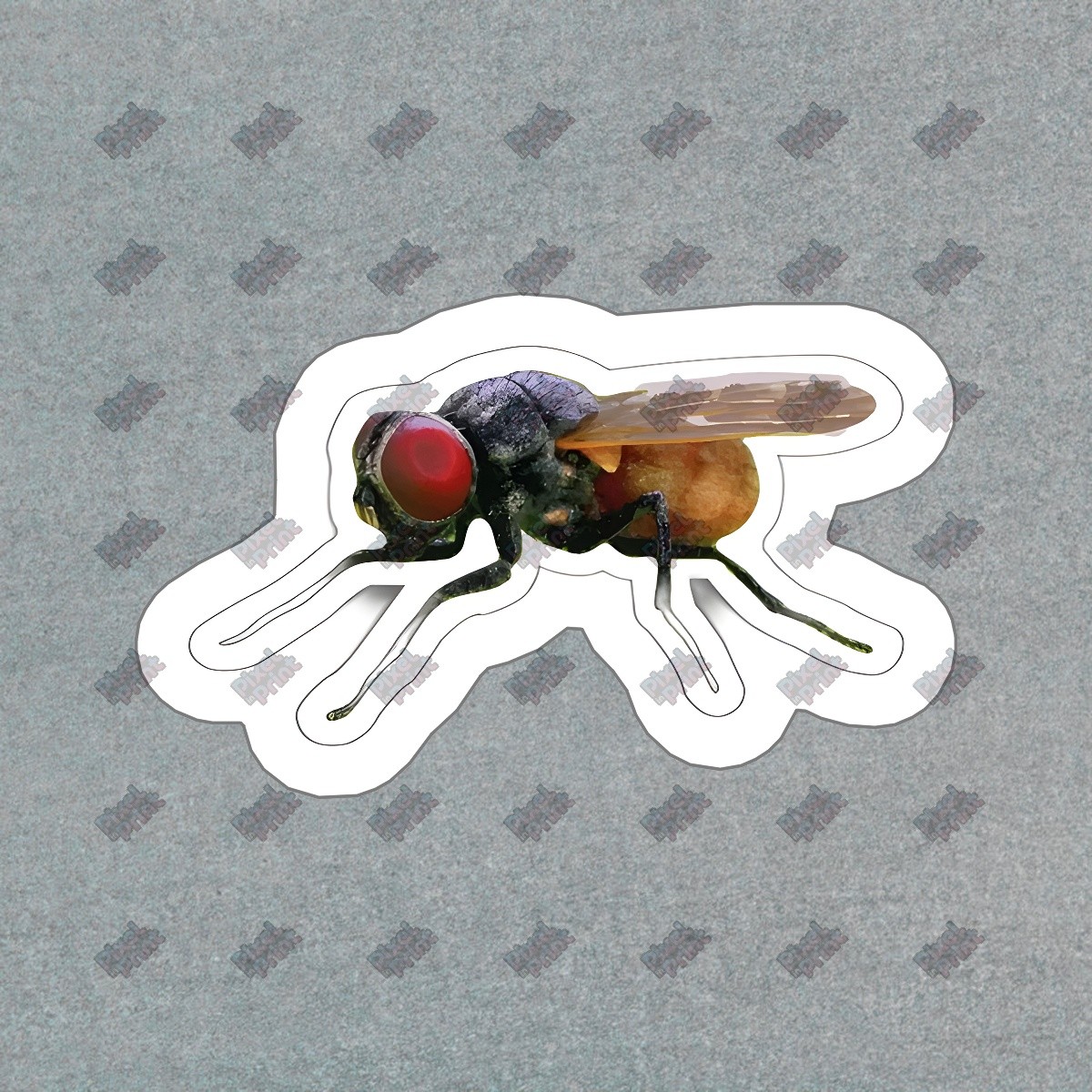 Realistic Fruit Fly Vinyl Sticker Insect Decal for Science Lovers #219040