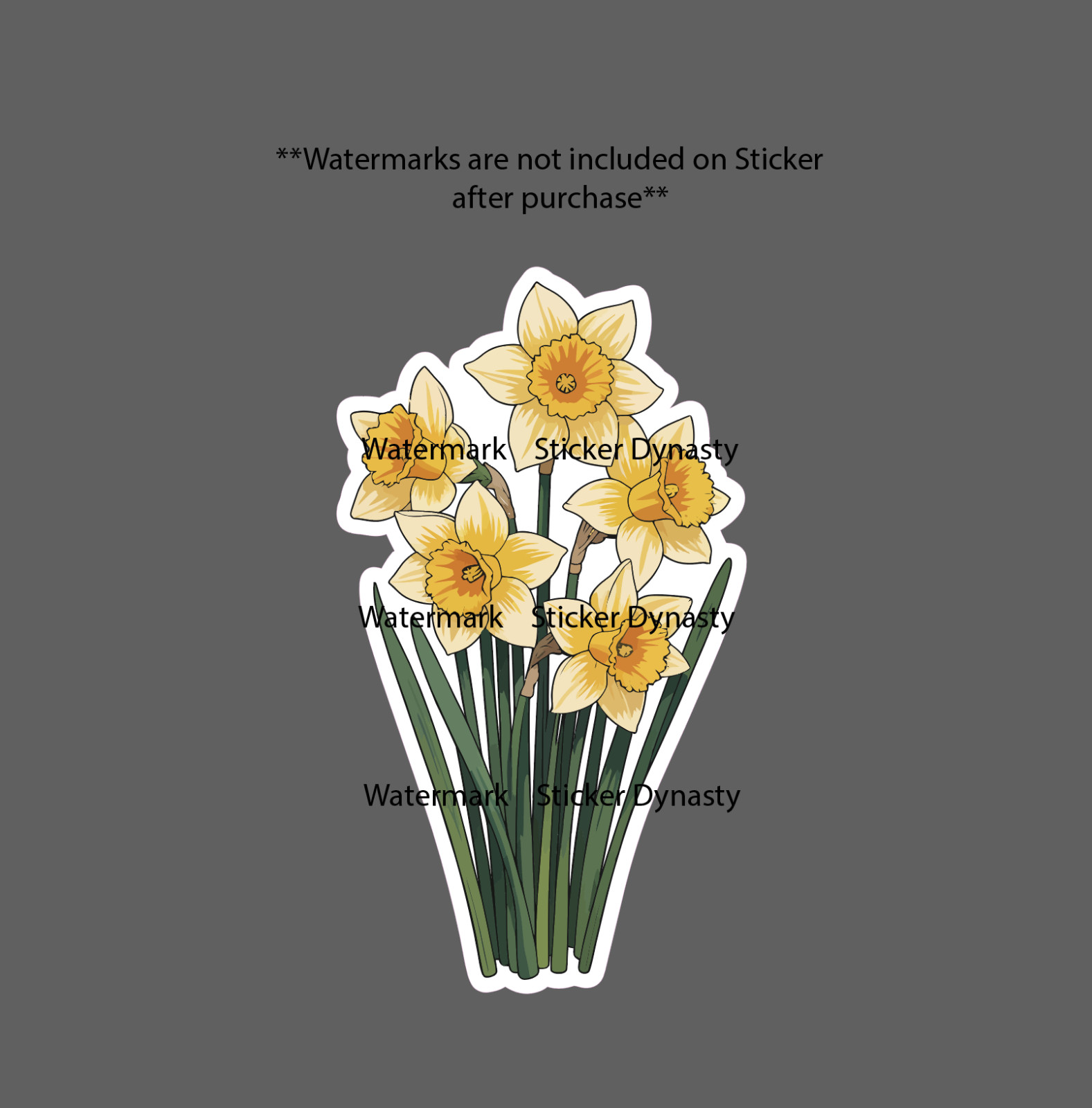 Daffodil Sticker Waterproof Decal Flower Floral Outdoor Nature Wildlife Gift NEW