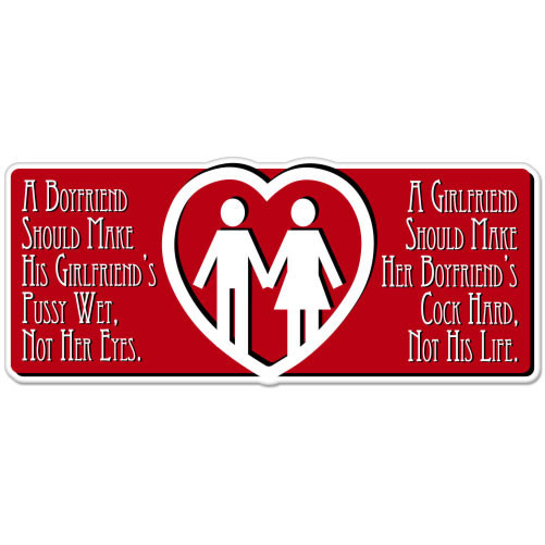 Girlfriend Boyfriend Adult Funny Wet Hard Crude car bumper sticker 6" x 3"