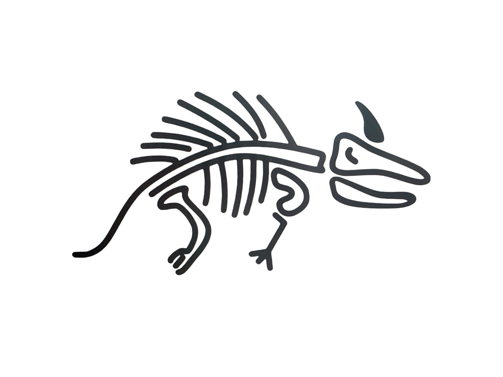 Lizard skeleton design#1 Decal for car Windows Laptops most Smooth Surfaces