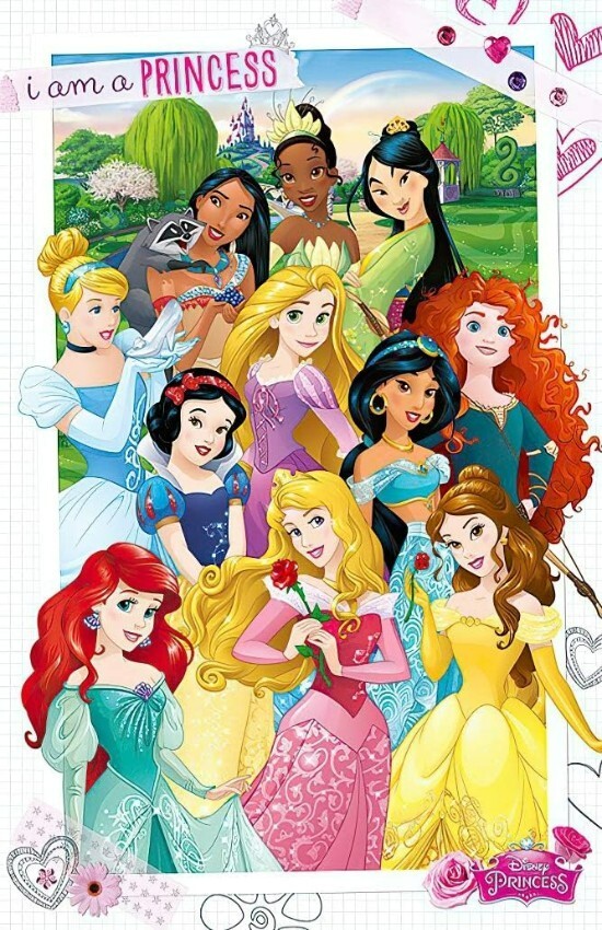 11 princesses Cartoon Graphic Wall Decal Poster Removable Adhesive Backing