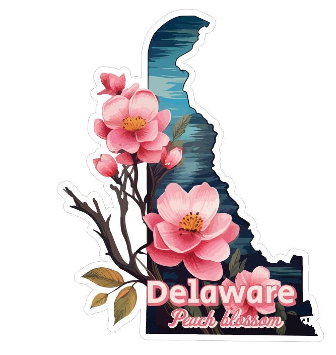 Delaware Sticker Stickers A285