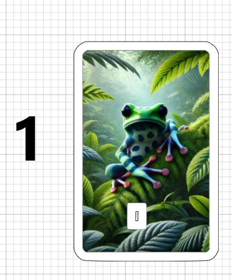 Frogs ATM DEBIT CREDIT STICKER SKIN USA Toad Jungle Colorful Poison Dart Frog US