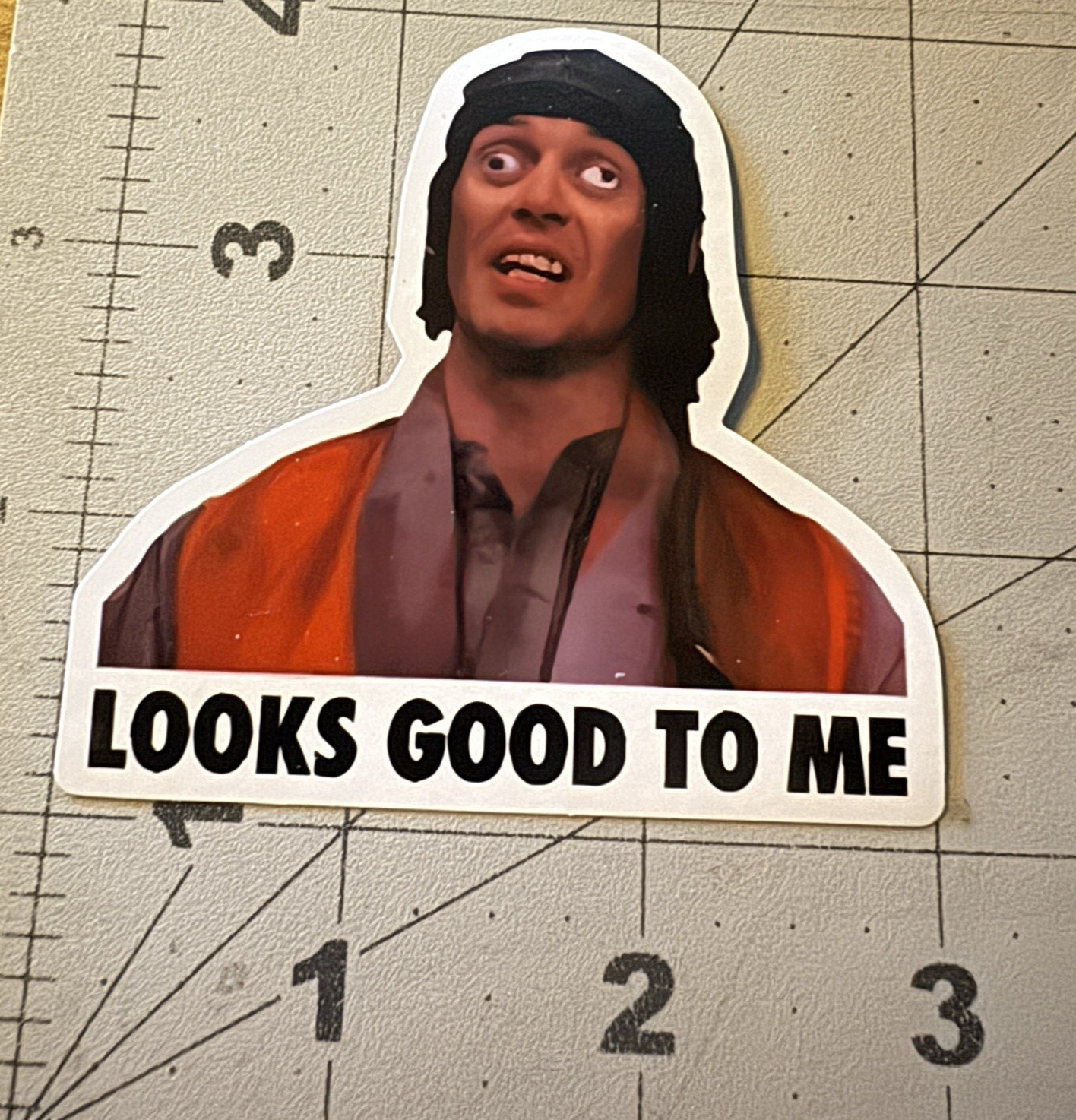 Funny “Looks Good To Me” Approval Sticker 3” Sticker For Toolbox, Steve Buscemi