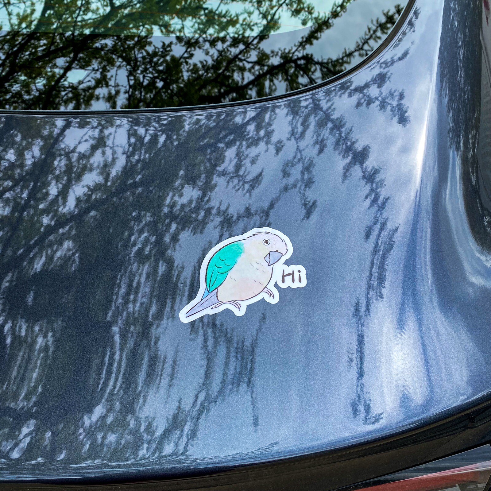 Green Cheek Conure CAR Stickers turquoise pineapple Outdoor use / UV Water Proof