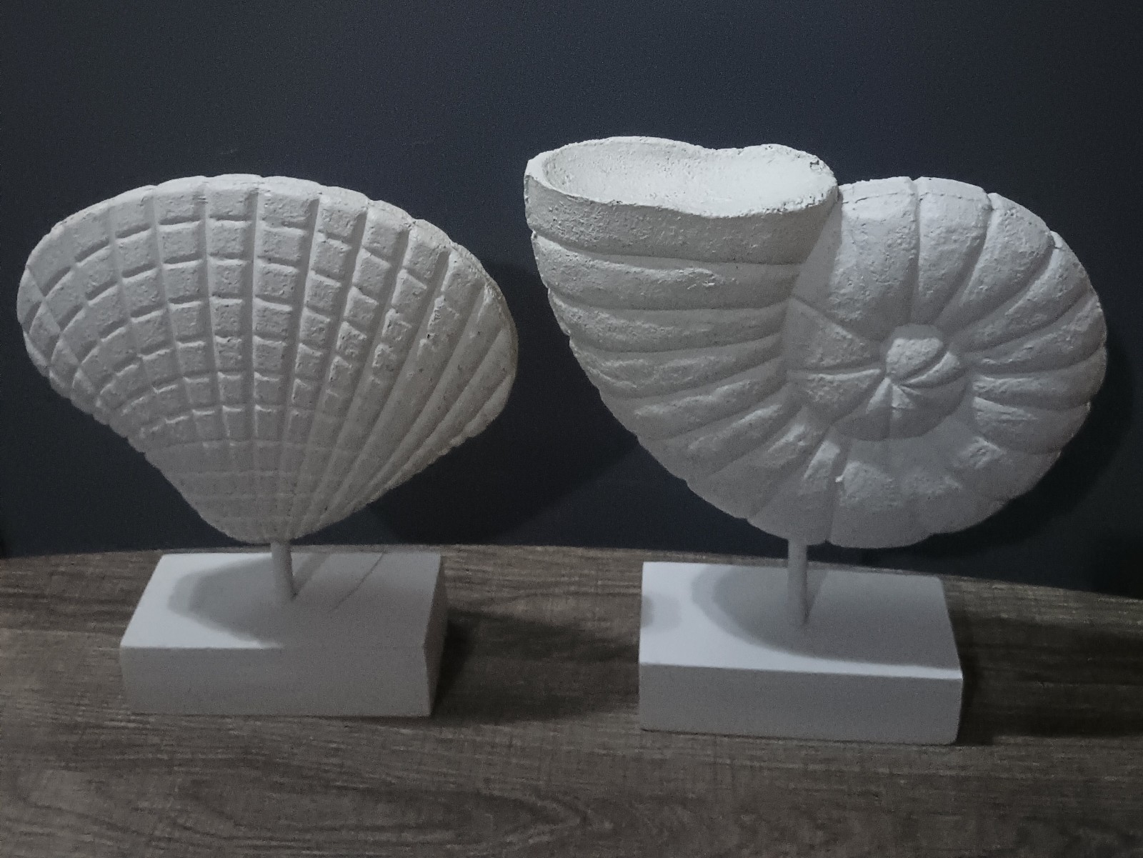 2pcs Large Nautilus Shell Sculptures Coastal Beach Home Decor SeaShell 10"X8"X2"