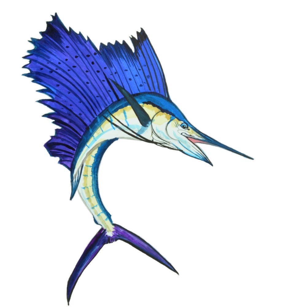 Decal Vinyl Sticker Sailfish – Printed Vinyl Decal Made in USA