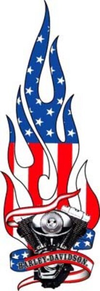 Harley Davidson Eagle Flag Flames Die-Cut Decal Sticker Large 8.5" X 3"