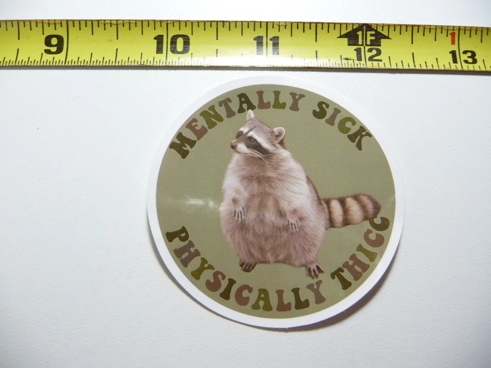 RACCOON FULL FIGURED SMALL STICKER DECAL WILD ANIMAL PET BANDIT MASKED