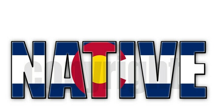 Colorado Native Flag Stickers Flag Decals Vinyl Indoor Outdoor Stickers