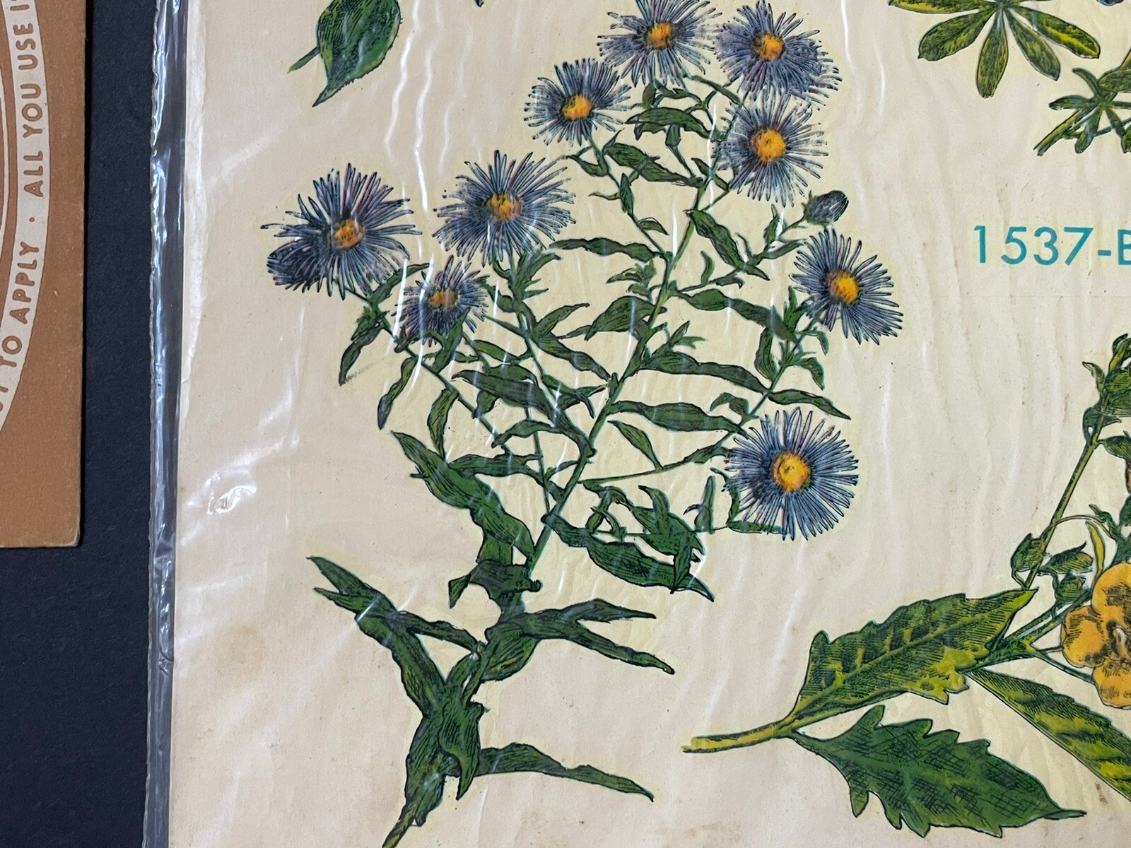 NEW Vintage MEYERCORD Decorative DECALS *FLOWERS Tulips Botanical FLORALS NOS