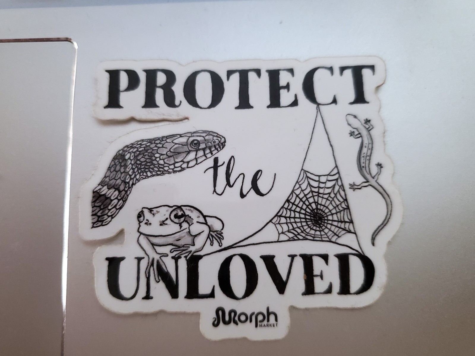 FROG Toad Reptile Snake Lizard Sticker Water Bottle Decal Bumper Sticker 3"