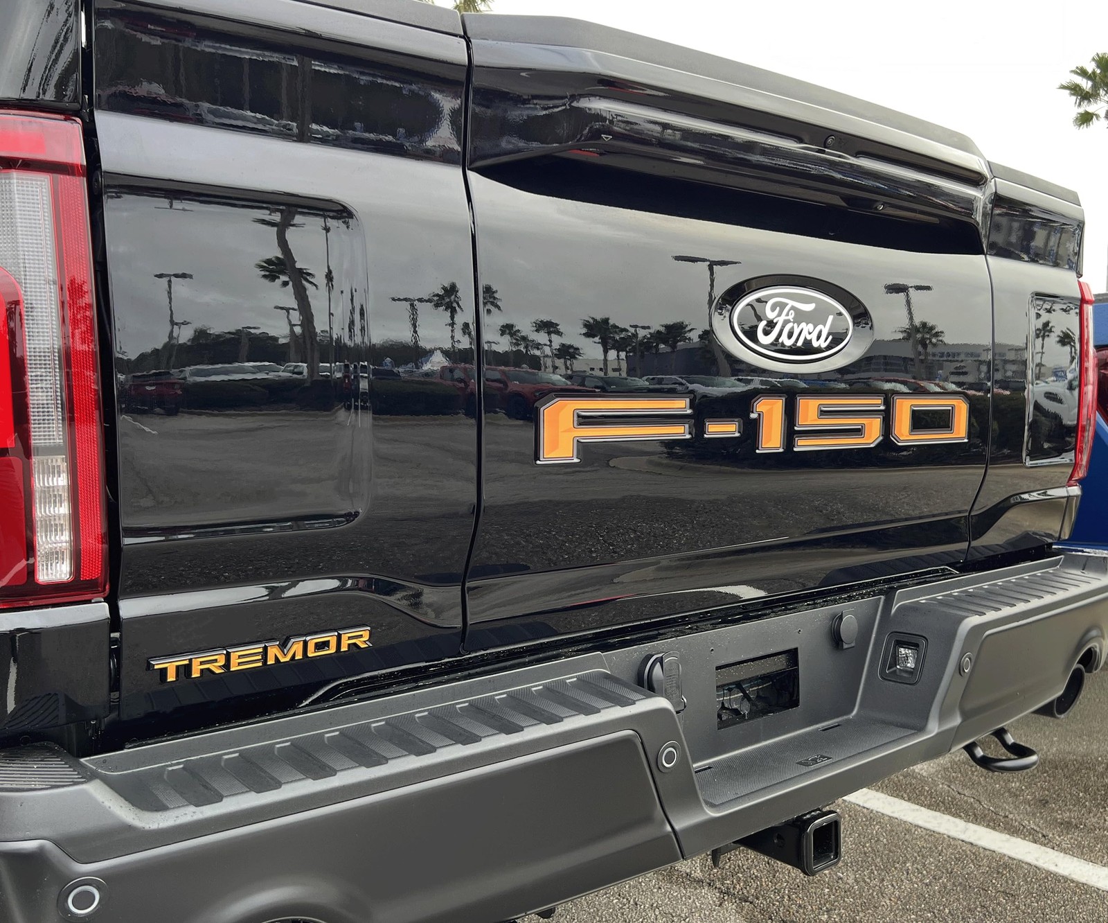 Ford F150 Tailgate Letters Compatible with 2024+ Pro Access Tremor