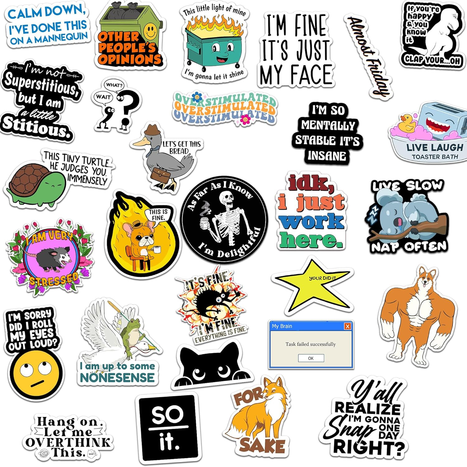 73 Pcs Funny Stickers for Adults Dirty Humor, Water Bottles Waterproof Cool Stic