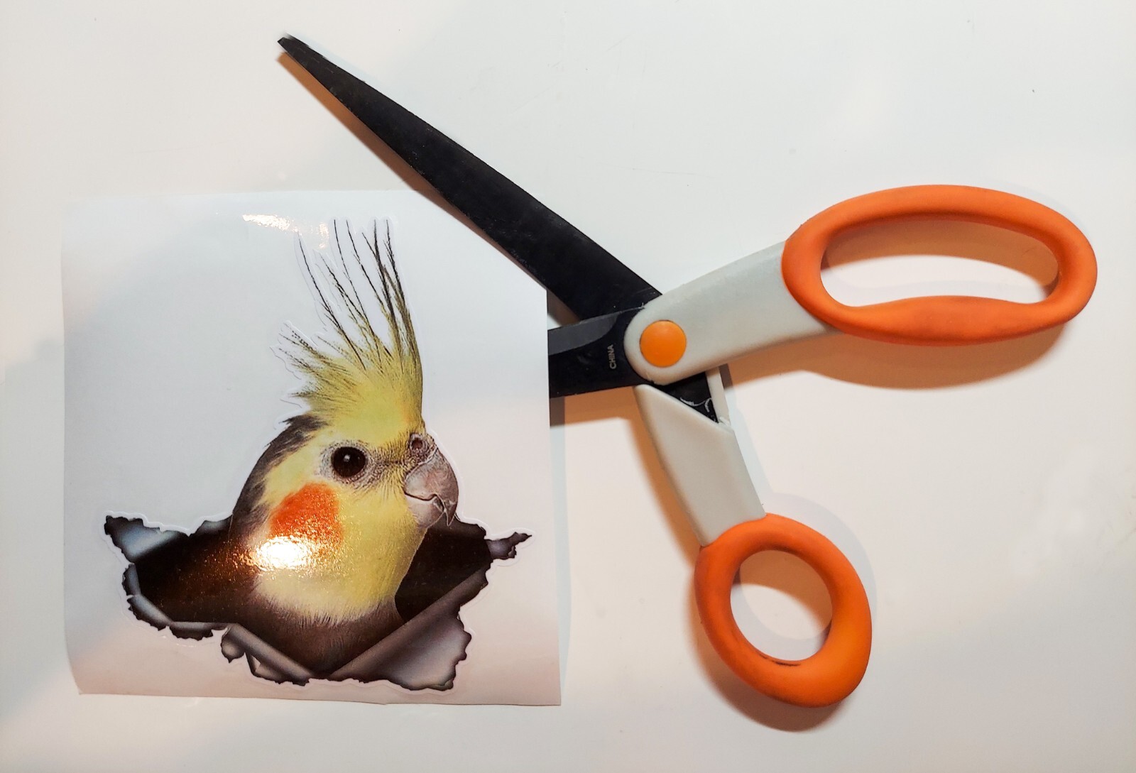 Cockatiel bird sticker, bird, parrot sticker for car laptop office room