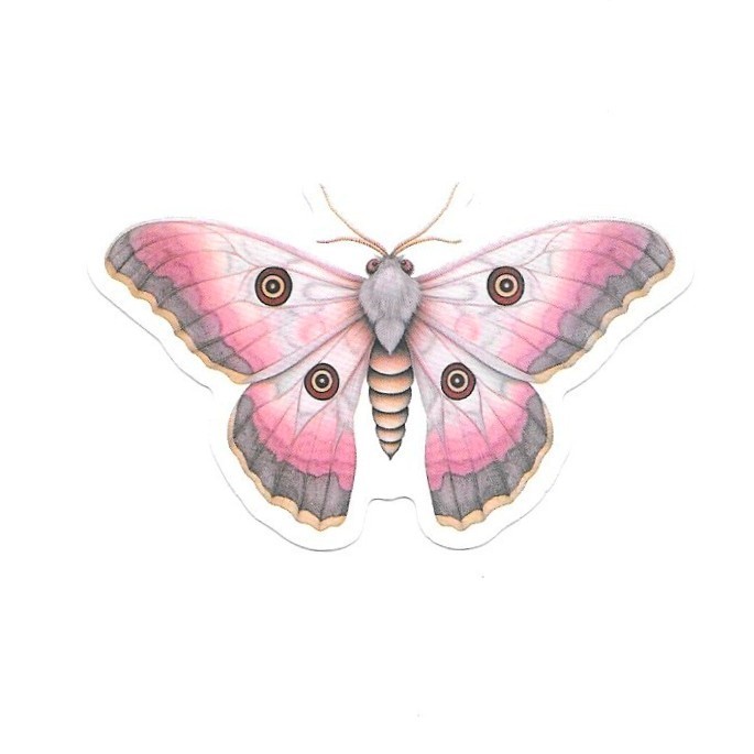 Pink Emperor Moth Vinyl Sticker Butterfly Insect Journal Laptop Scrapbook Art