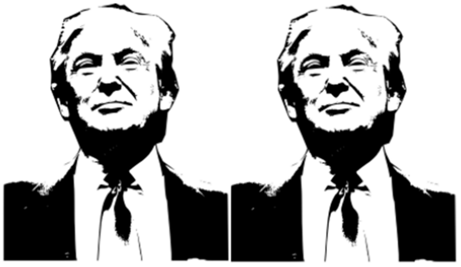 Donald Trump 250 Pcs Stickers Pack 2.25 x 1.25 in MAGA Election Vote President