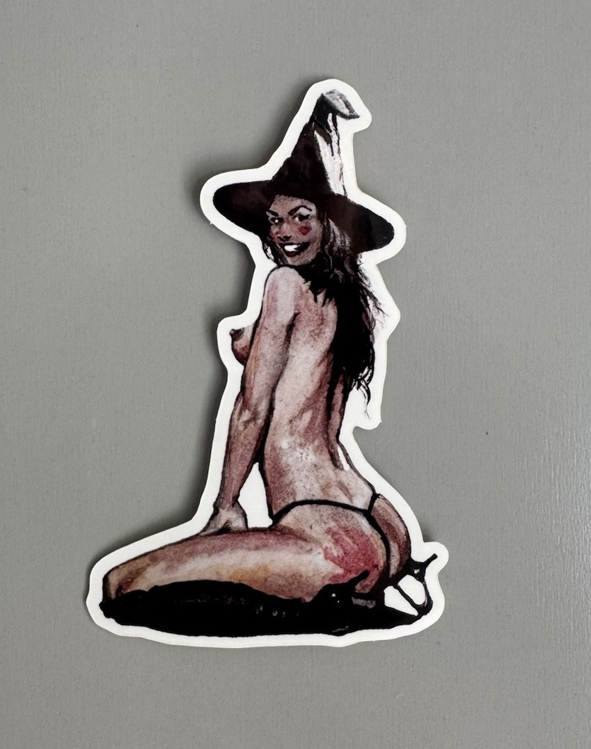 Sexy Witch Pinup Girl Humor Skateboard Laptop Guitar Decal Sticker