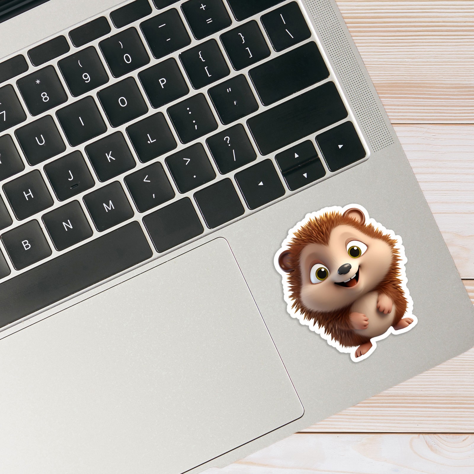 Cartoon Hedgehog – Vinyl Decal Sticker – Car Window Laptop – #1514