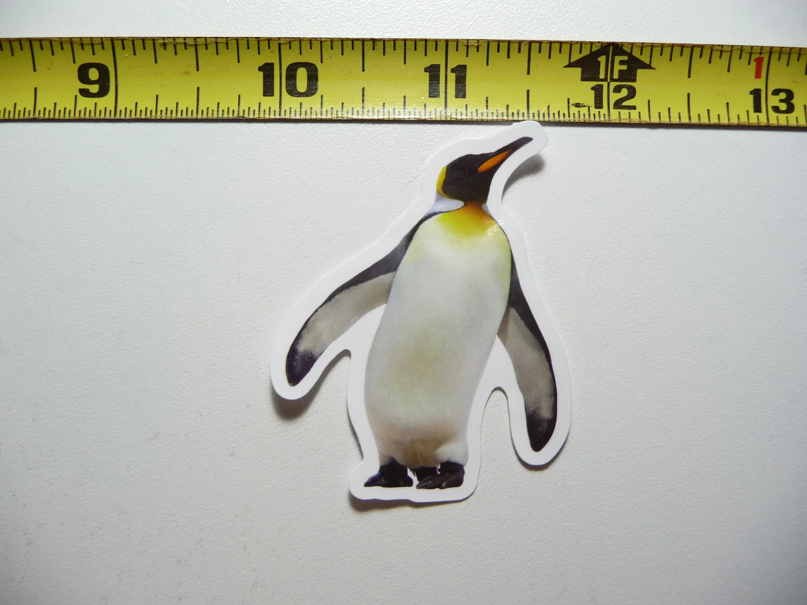 KING PENGUIN BIRD SMALL STICKER DECAL WILDLIFE PRESERVE NATURE ANIMAL