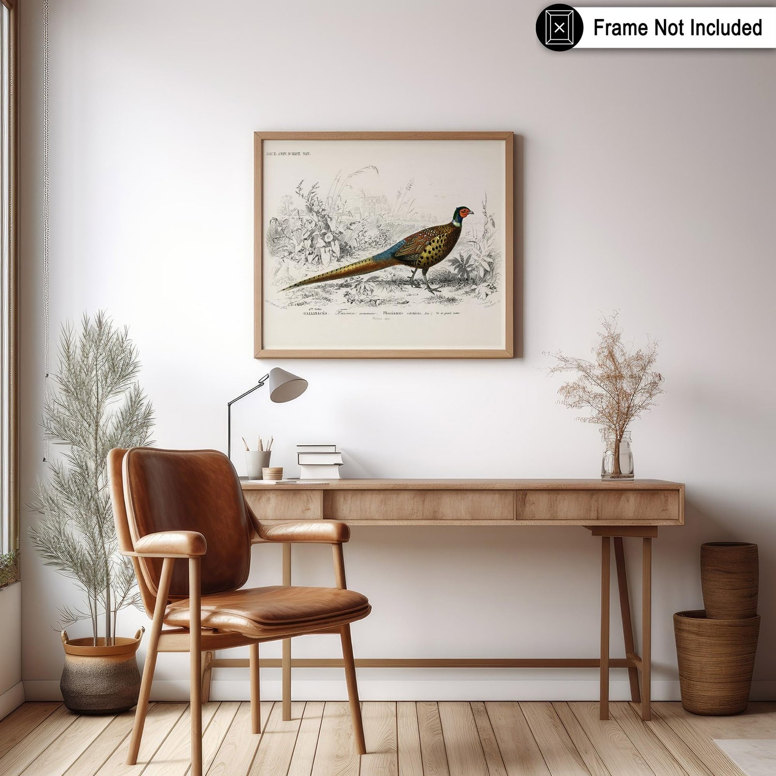 Poster Master Vintage Ring Necked Pheasant Poster – Retro Wildlife Print – Bi…